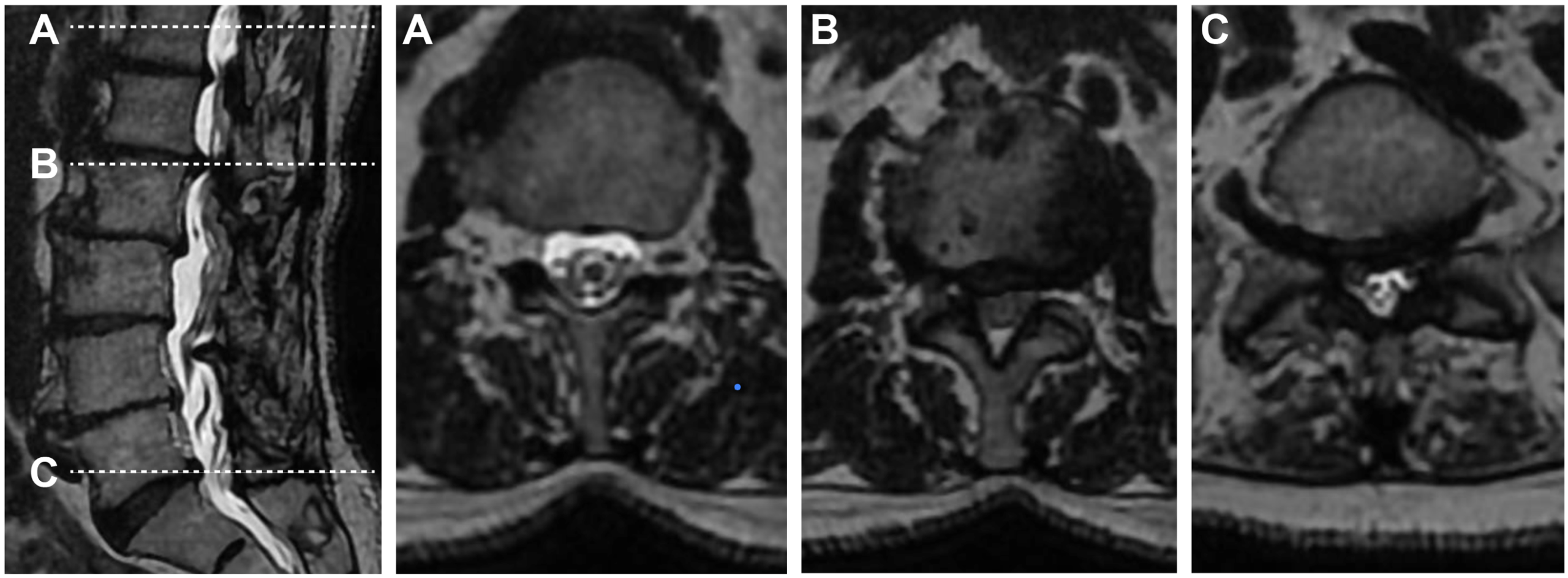Une image contenant noir, capture d’écran, noir et blanc, film radiographique
Le contenu généré par l’IA peut être incorrect.
